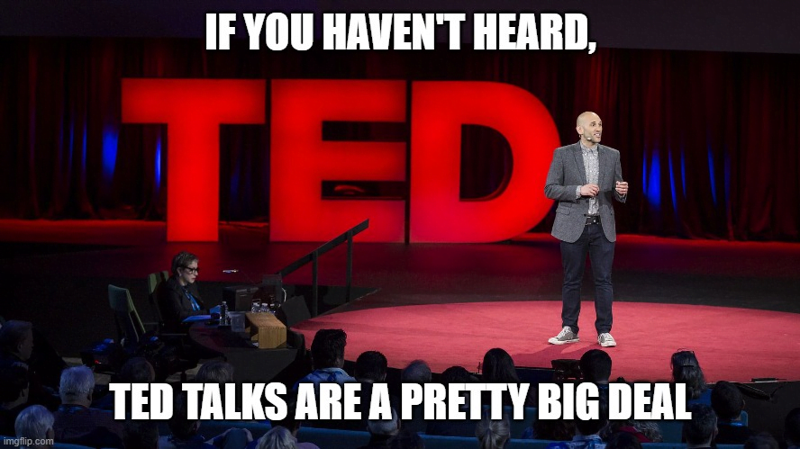 A man in gray suit on TED stage